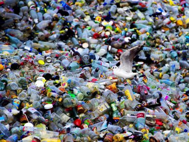 Plastic wordt fantastic Plastic wordt fantastic